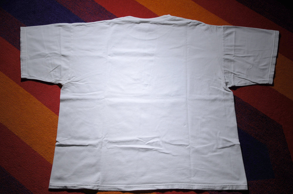 Vintage 2001 Disneyland Resort Disney California Adventure Promo Shirt XXL